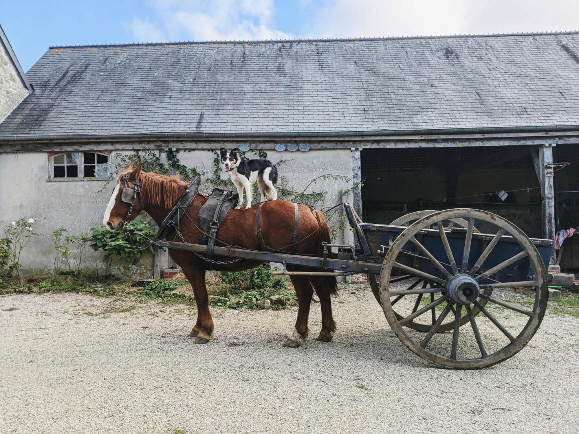 Ferme De Franqueville Sainte-Marie-du-Mont Kültér fotó