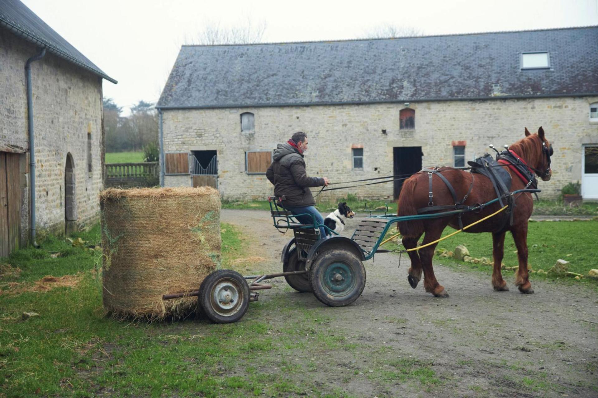 Ferme De Franqueville Sainte-Marie-du-Mont Kültér fotó